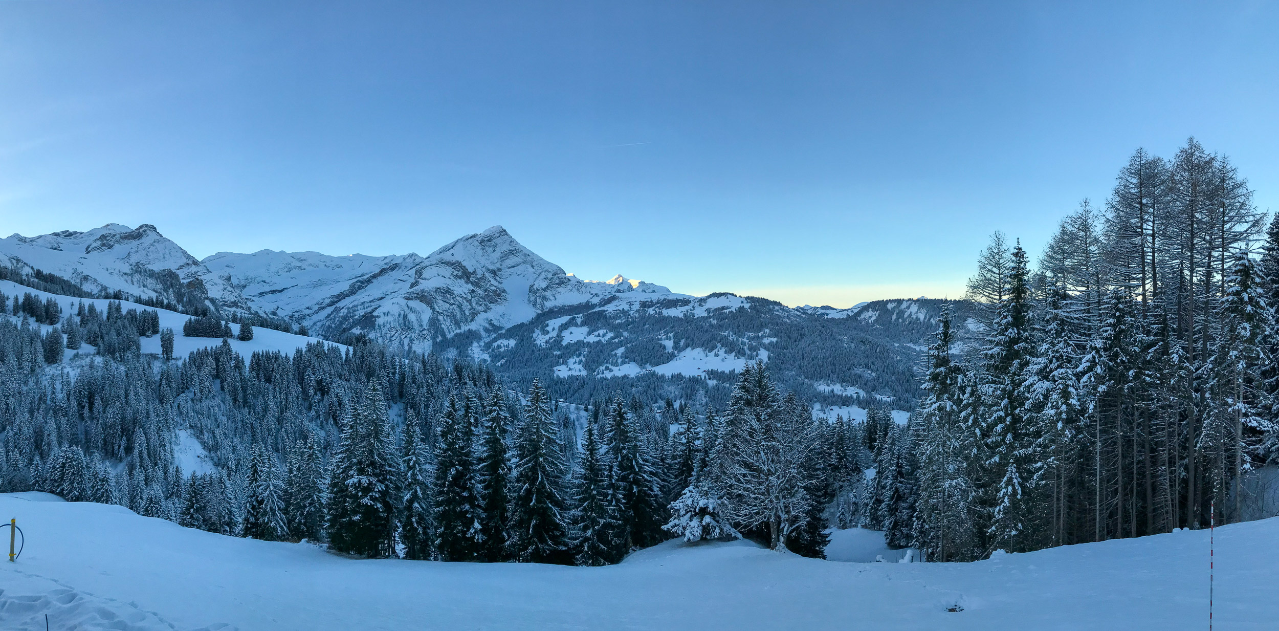 Qu in action | Qu solutions